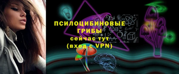спайс Алзамай