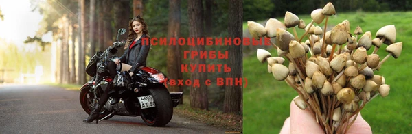 спайс Алзамай
