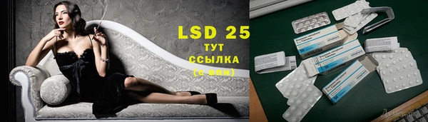спайс Алзамай