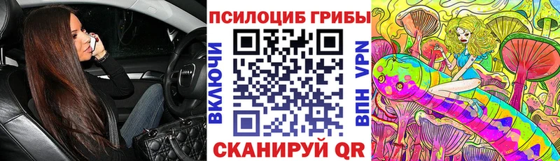 Галлюциногенные грибы Psilocybe  Люберцы 